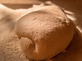 fluffy puffed yeast dough preparing for baking