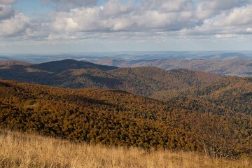 Bieszczady's mountains Autumn Glow: Nature’s Color Palette