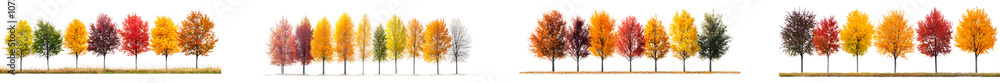Poster colorful row of trees showcasing autumn foliage in a scenic display isolated on transparent backgrou
