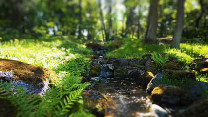 Stream of water flows through the rocks in the forest.