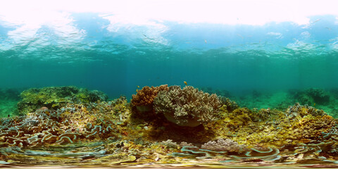 Underwater coral scene, colorful tropical fish and corals. Marine life landscape. Monoscopic image.