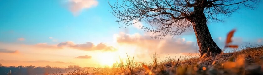 Obraz premium Solitary ancient oak tree against a winter solstice night, symbolism of strength and cycles, faint stars in the sky, mystical ambiance