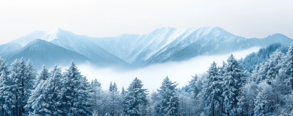 Obraz premium A serene winter landscape featuring snow-covered mountains and evergreen trees shrouded in mist.