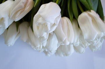 Bouquet of White Tulips on Table