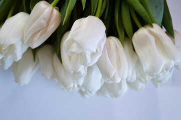 Bouquet of White Tulips on Table