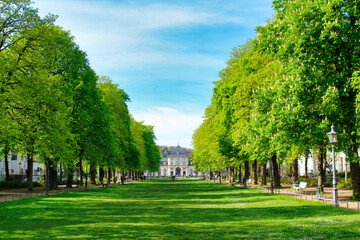 Bonn Poppelsdorfer Allee 