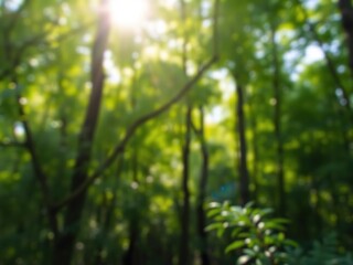Obraz premium Blurred background of lush green forest with sunlight filtering through the leaves, creating a serene and peaceful atmosphere, peaceful, lush