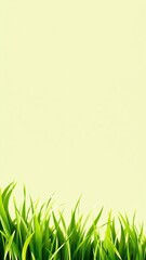 Fototapeta premium Bright green realistic seamless grass border perfect for adding a natural touch to your designs, texture, grass, border