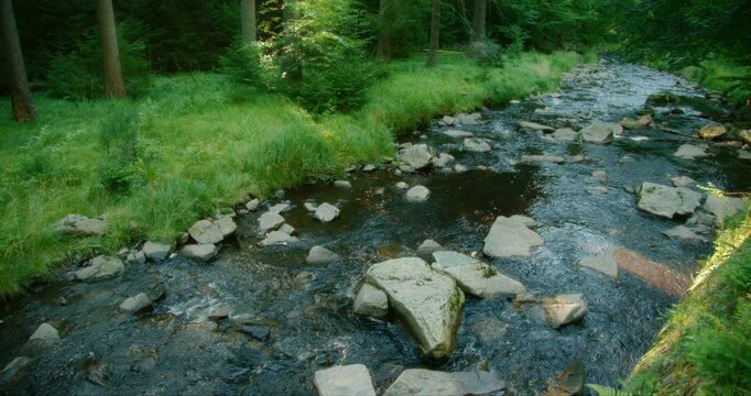 Calm forest river bordered by rocks and lush greenery creating a tranquil water landscape in the wild