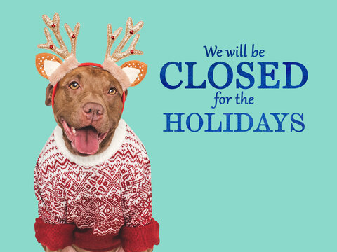 Signboard with the inscription We will be closed for the Holidays. Cute brown dog and text for the sign. Closeup, indoors. Studio shot. Pets care concept