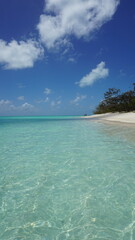 Beautiful island beach on Heron Island Australia