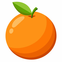 illustration of an orange fruit