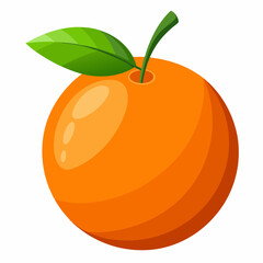 orange fruit vector illustration