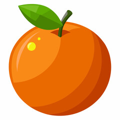 illustration of an orange