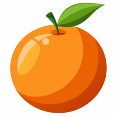 orange fruit vector illustration