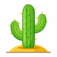 cactus isolated on white background