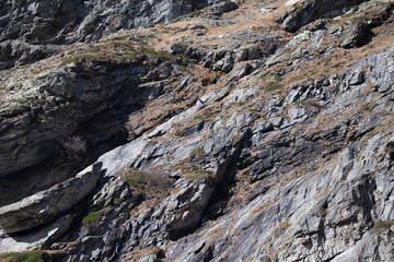 Val bognanco