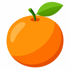 illustration of an orange fruit