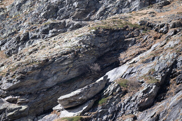 Val bognanco
