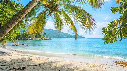 Beautiful beach with palms and turquoise sea in Jamaica island with blue sky
