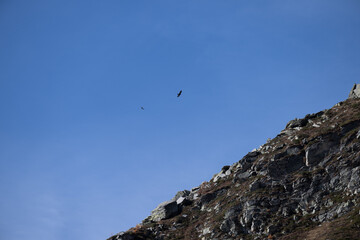 Val bognanco
