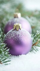 Purple Christmas ornaments nestled in snow and pine branch, branches, creating a festive winter scene.