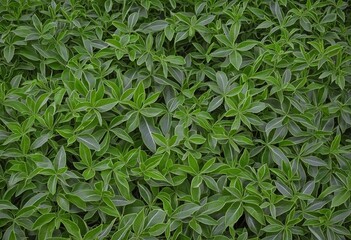 Abstract Impressionism: Celebrating Green Leaves on World Wildlife Day