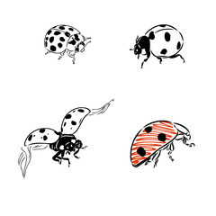 Cute ladybug cartoon character outline