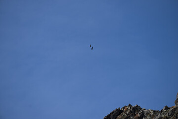 Val bognanco