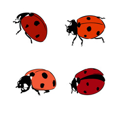 Cute ladybug cartoon character outline © Elala 9161