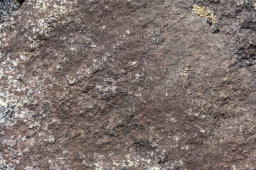 Rough Texture of a Weathered Rock Surface