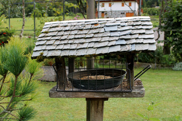 Mangiatoia per uccelli selvatici con tetto e piatto con mangime nel giardino con cespuglio