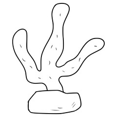 coral illustration hand drawn outline vector