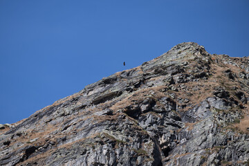 Val bognanco