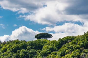 San Benedetto hills - Marostica