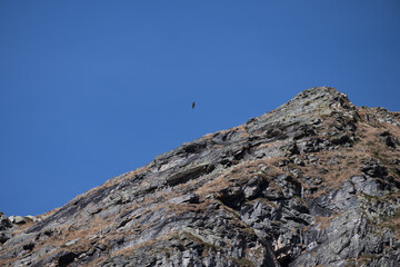 Val bognanco
