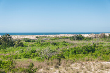 fire island national seashore long island new york