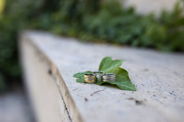 Bride and Groom flowers and Wedding Rings Special concept shooting.