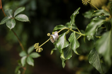 Bride and Groom flowers and Wedding Rings Special concept shooting.