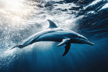 Naklejka premium A dolphin gracefully swims through the sparkling ocean waters, illuminated by the sun, showcasing its agility and beauty under the sea.