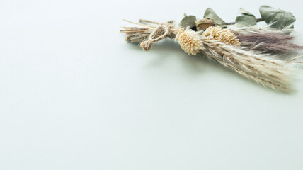 ライトグリーンの背景にドライフラワー　ナチュラルな植物の背景素材