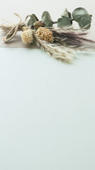 ライトグリーンの背景にドライフラワー　ナチュラルな植物の背景素材