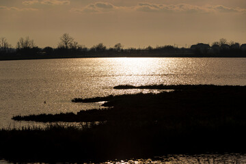 Venice lagoon