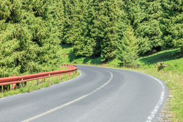 Forest and mountains with empty road