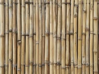 Bamboo wall texture with natural, light-colored bamboo stalks
