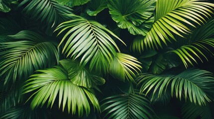 A lush green tropical backdrop with palm leaves creating a vibrant texture.