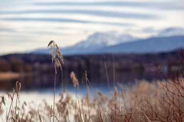 Blick auf Berglandschaft und See in Bayern