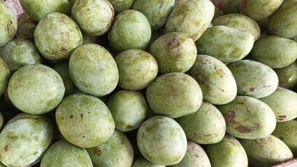 Green mangoes' piles from indonesia mango farmers garden
