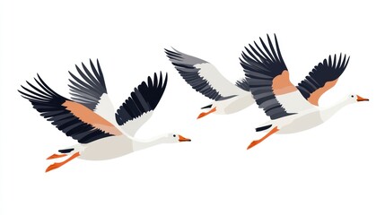Obraz premium Three Geese Flying in Formation
