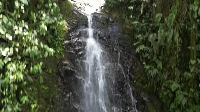 beautiful waterfall in tropical forest